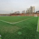 갈대2축구장 이미지