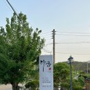 다금차