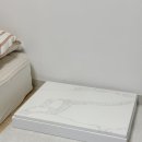 올여름 필수템 강아지 쿨매트, 대리석 아빠 쿨매트 사용 후기