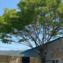 약수터맛집 이미지