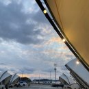 골드오션 이미지