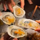 큐앤티 | [플로리다 데스틴] 돌고래도 식후경🐬 (홀리데이인 미라마르 비치, 실버샌드 프리미엄 아울렛, 보샴스...