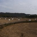 농협 주차장 이미지