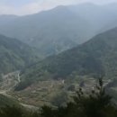 정자나무집민박 이미지