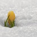 사시사철-풍요 이미지