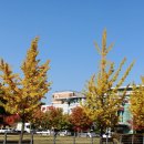 통일동산우체국 이미지
