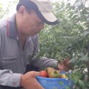 대산농장 이미지