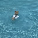 한솔아트어린이집 | 8월 (1)