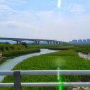 하단동1211 이미지