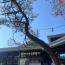 종자리로2 네이버블로그