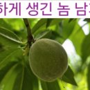 엄지인력 이미지