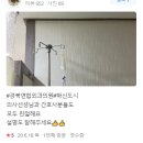 경북외과의원 이미지