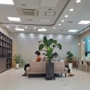 마당새