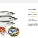 에스지유통 네이버블로그