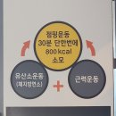 원적외선체온관리점핑다이어트