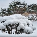 설한
