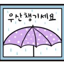 뽀송 애견미용 이미지