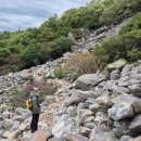 달마고도 이미지