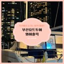 부산 광안리 요트투어, 이색 데이트로 좋은 &#39;부산요트투어 와이홀릭&#39; 후기 🎇🛥️🌊