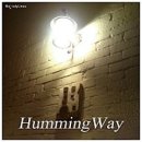 허밍(HUMMING) 이미지