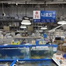 강서 수산물시장 맛집 나로도수산 모듬회 포장