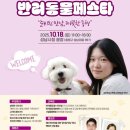 시청광장 이미지