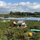 정만농장 이미지