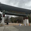 강원도 속초 볼거리 가볼만한곳 설악산국립공원 설악케이블카 신흥사 권금성 후기