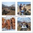 솔안농장 이미지