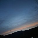 비타민 팜 오토캠핑장 이미지