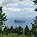 독도카타이어 이미지