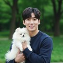 스트레스 타파 마음건강 찾기 | 고양이 스트레스 해소 장난감