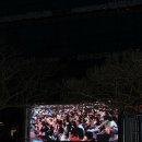 세월호 2주기 추모음악회 2016년 4월 23일(서산시청 앞 야외무대) -충남오페라단 이미지
