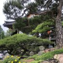 홍종흔베이커리&카페 티스토리
