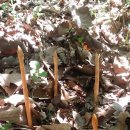 구광식당 이미지