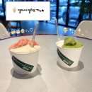 별목장 | 제주 아이스크림 맛집 젤마씨, 목장우유·말차·미숫가루·딸기 맛별 내돈내산 후기
