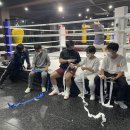 코리안복싱센터 이미지