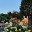 염동초등학교 이미지