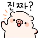배통 이미지