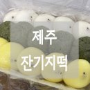 송화잔기지떡제주아라점 | 제주 답례품 추천 송화잔기지떡 제주아라점
