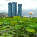 낙동강변7 이미지