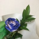 박은희 | 이제, 또 다시