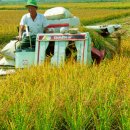 신곡축산 이미지