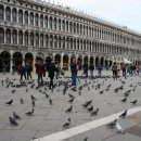 베네치아 성 마르코 광장 (Piazza San Marco) 이미지