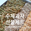 태초애 이미지