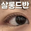 송파 속눈썹 살롱드반 대만족 펌 후기