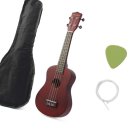 왕초보 우크렐레 이미지