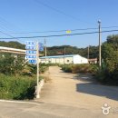 능수목장 | [충청남도 공주시] 공주 유구 색동수국정원 꽃 축제