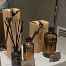 씨ㆍ후레쉬(Sea Fresh) | 🍃 rest in nature 수원 스타필드점 후기 내돈내산🤑(집들이 선물-디퓨저)