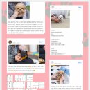 온사랑펫 이미지